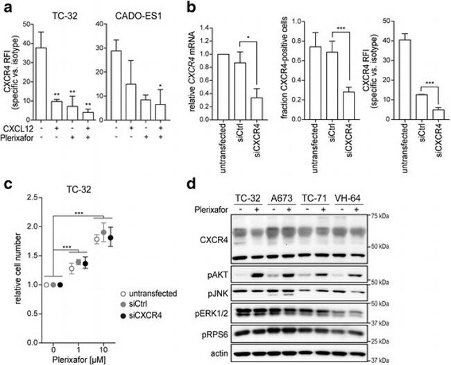 CD184 (CXCR4) Antibody in Flow Cytometry (Flow)