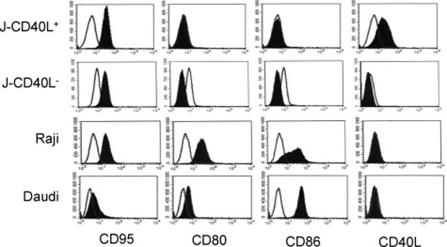 CD95 (APO-1/Fas) Antibody in Flow Cytometry (Flow)