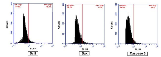 Bax Antibody in Flow Cytometry (Flow)