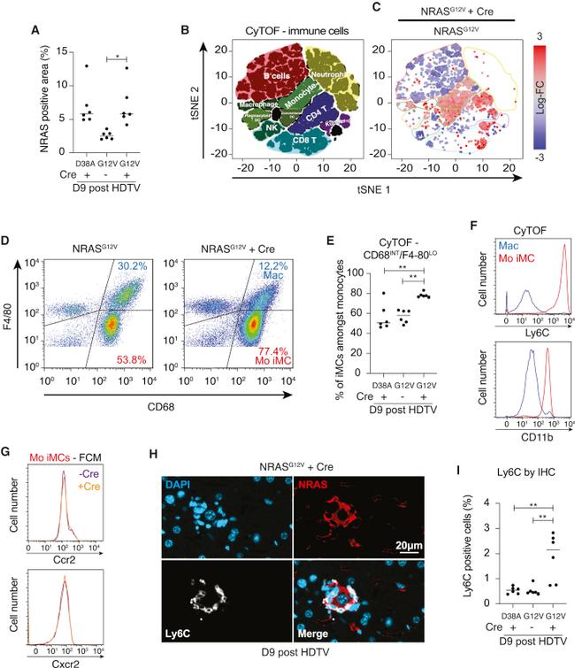 CD68 Antibody in Flow Cytometry (Flow)