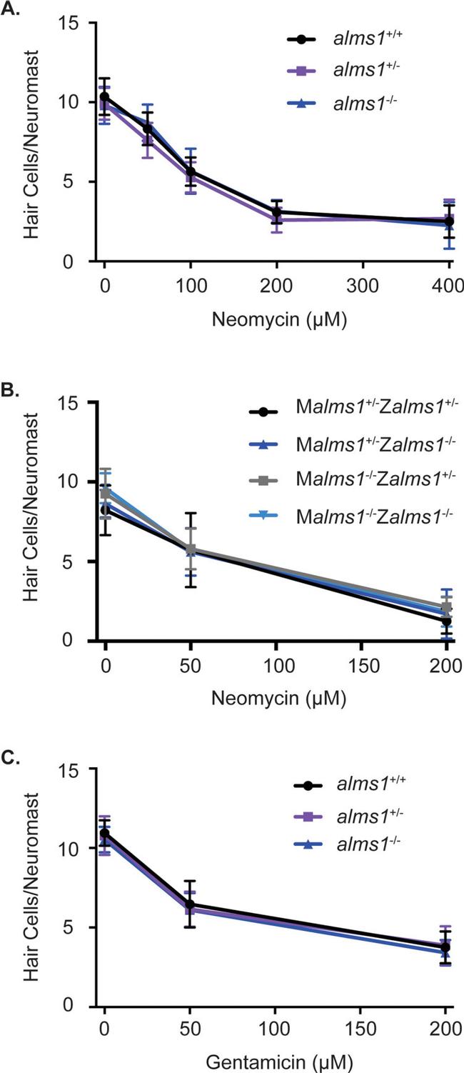 Parvalbumin Antibody in Immunohistochemistry (IHC)