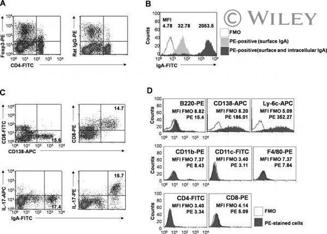 IL-17A Antibody in Flow Cytometry (Flow)