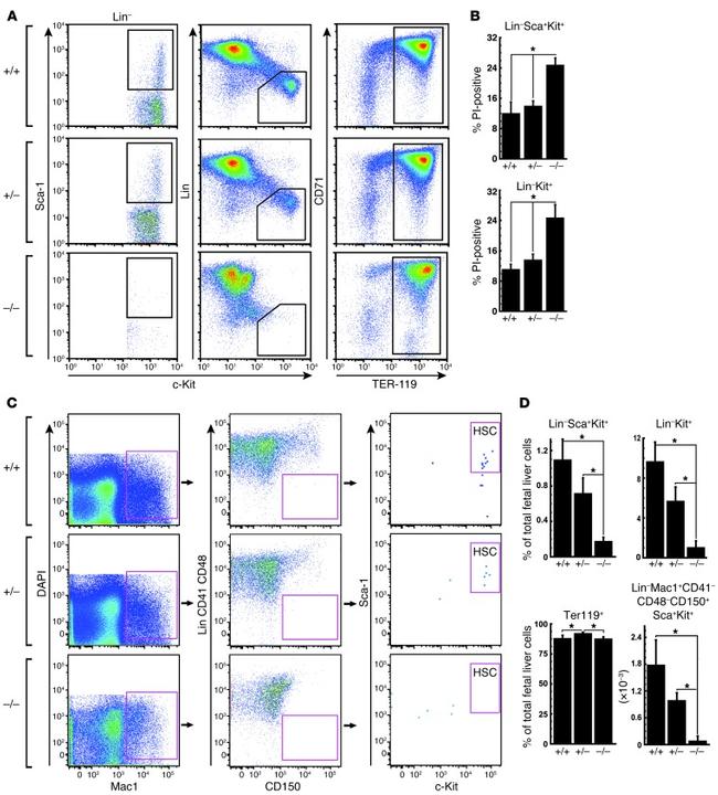 Ly-6A/E (Sca-1) Antibody in Flow Cytometry (Flow)