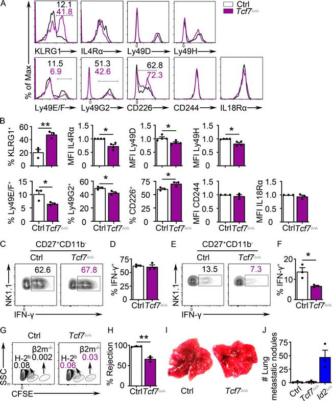 NK1.1 Antibody in Flow Cytometry (Flow)