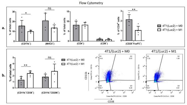 CD4 Antibody in Flow Cytometry (Flow)