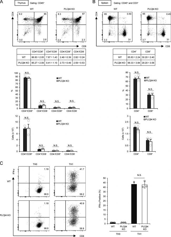 CD4 Antibody in Flow Cytometry (Flow)