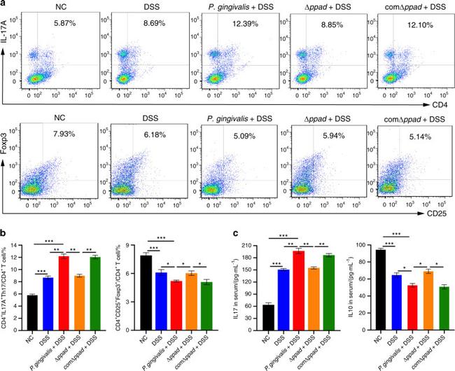 CD4 Antibody in Flow Cytometry (Flow)