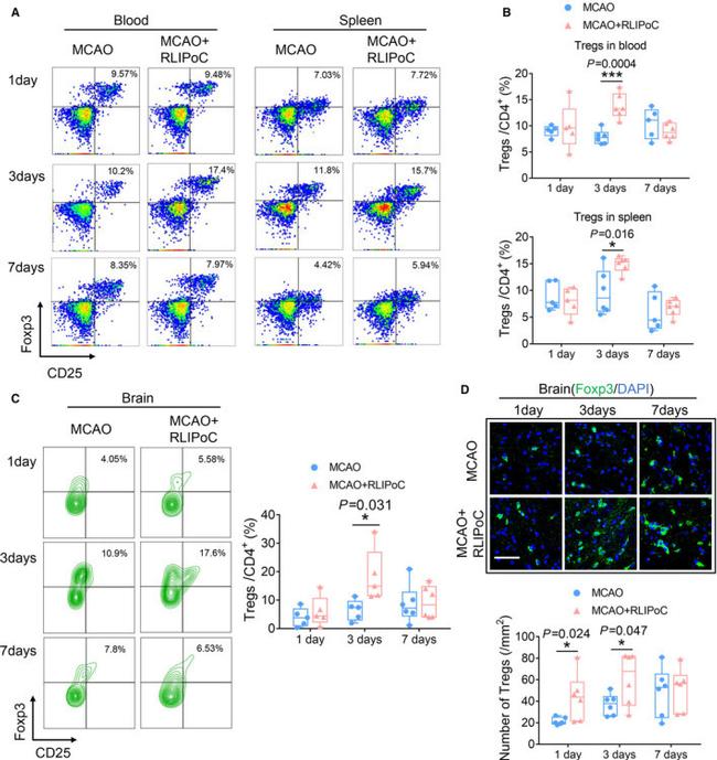 CD4 Antibody in Flow Cytometry (Flow)