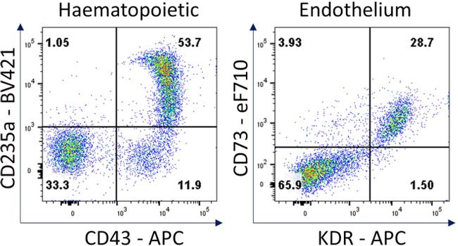 CD73 Antibody in Flow Cytometry (Flow)