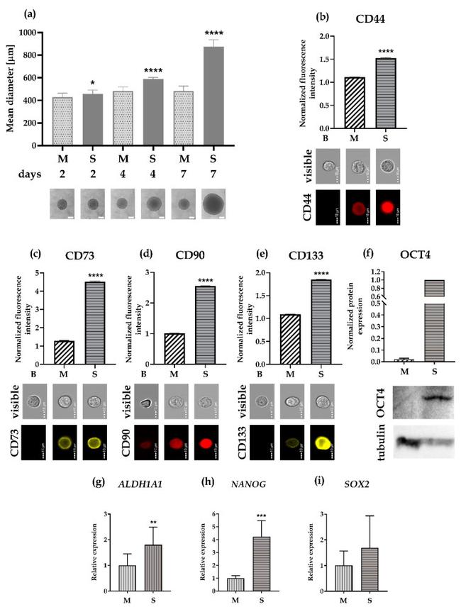 CD44 Antibody in Flow Cytometry (Flow)