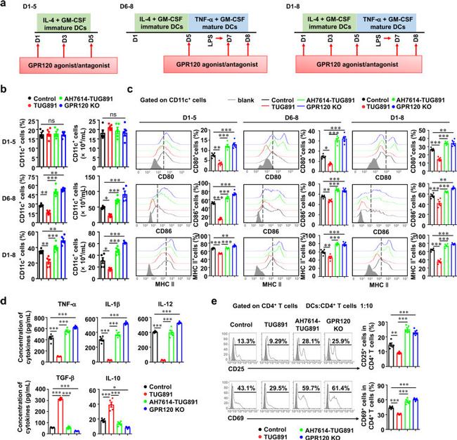 CD69 Antibody in Flow Cytometry (Flow)