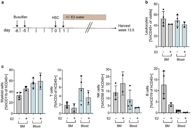 CD45 Antibody in Flow Cytometry (Flow)