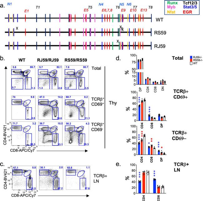 CD69 Antibody in Flow Cytometry (Flow)