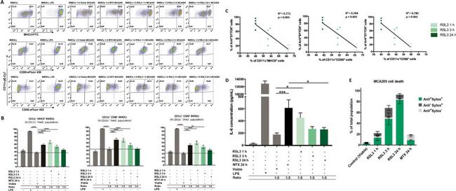 CD86 (B7-2) Antibody in Flow Cytometry (Flow)