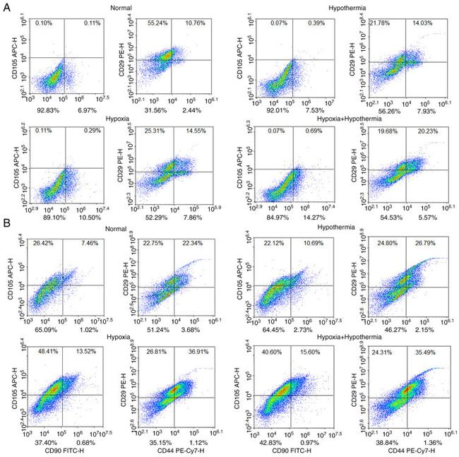 CD105 (Endoglin) Antibody in Flow Cytometry (Flow)