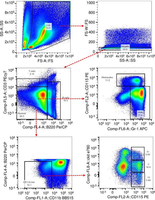 CD115 (c-fms) Antibody in Flow Cytometry (Flow)