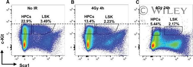 CD117 (c-Kit) Antibody in Flow Cytometry (Flow)