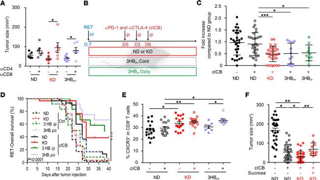 CD183 (CXCR3) Antibody in Flow Cytometry (Flow)