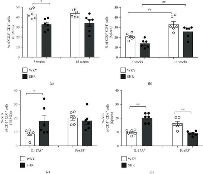 FOXP3 Antibody in Flow Cytometry (Flow)