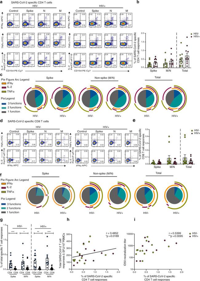 IL-2 Antibody in Flow Cytometry (Flow)