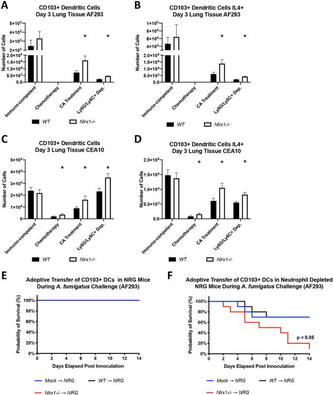 IL-4 Antibody in Flow Cytometry (Flow)