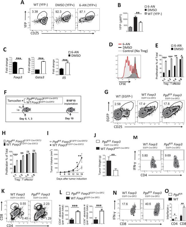 IL-13 Antibody in Flow Cytometry (Flow)