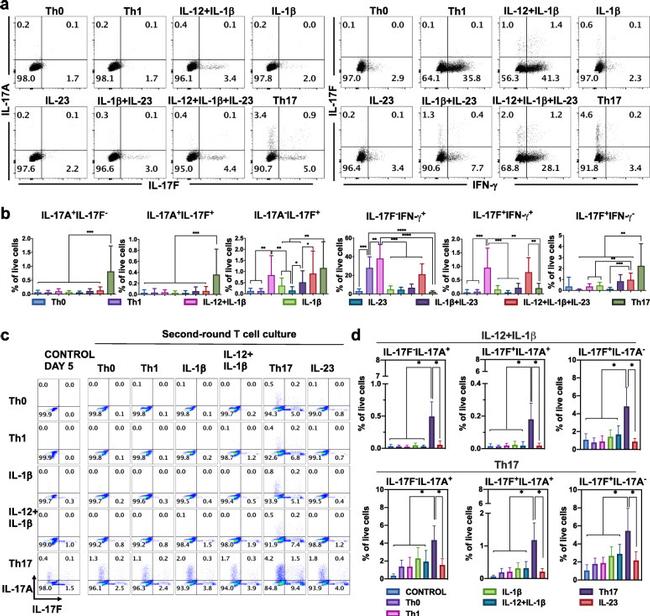 IL-17F Antibody in Flow Cytometry (Flow)