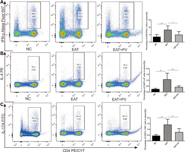 IL-17A Antibody in Flow Cytometry (Flow)