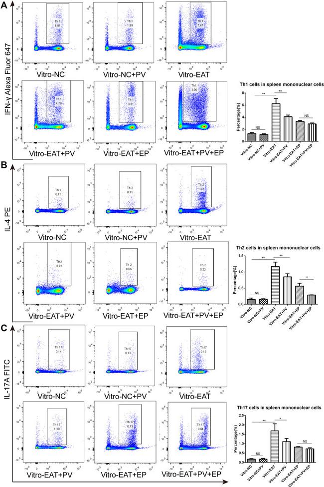 IL-17A Antibody in Flow Cytometry (Flow)