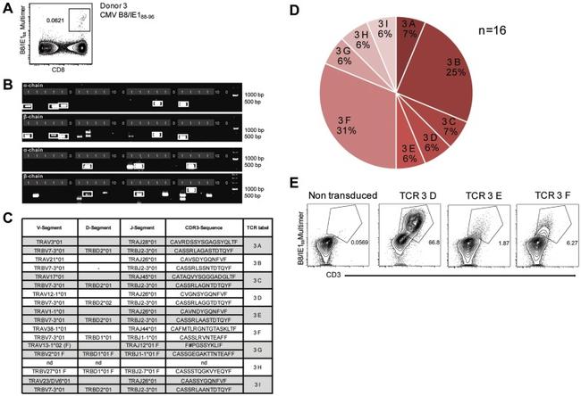 CD8a Antibody in Flow Cytometry (Flow)