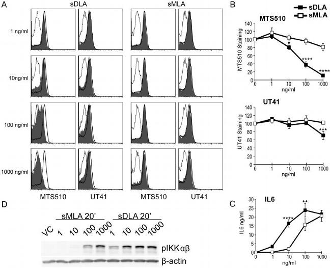 CD284 (TLR4) Antibody in Flow Cytometry (Flow)