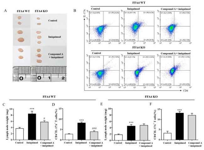 IL-17A Antibody in Flow Cytometry (Flow)