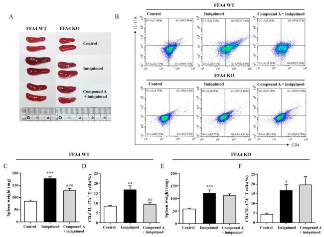 IL-17A Antibody in Flow Cytometry (Flow)