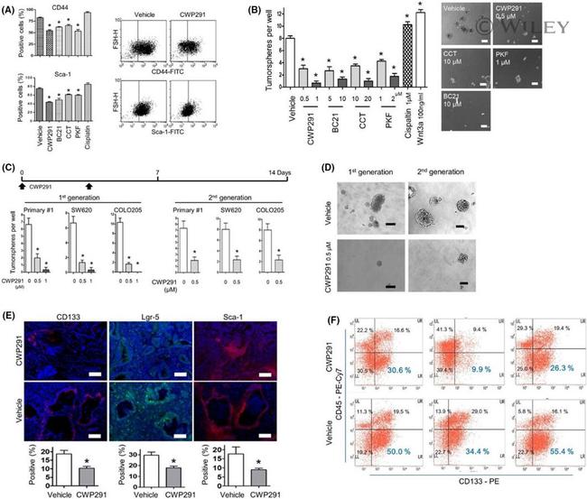 CD44 Antibody in Flow Cytometry (Flow)