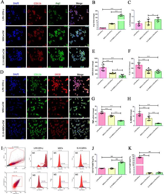 Arginase 1 Antibody in Flow Cytometry (Flow)