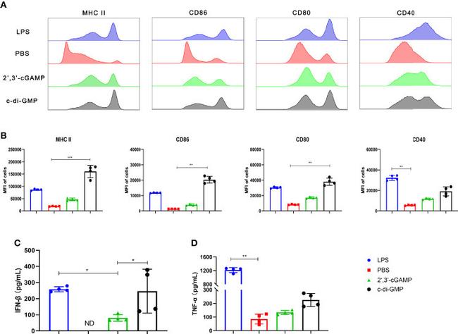 CD86 (B7-2) Antibody in Flow Cytometry (Flow)