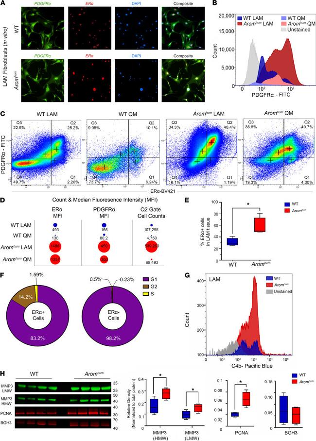 CD140a (PDGFRA) Antibody in Flow Cytometry (Flow)