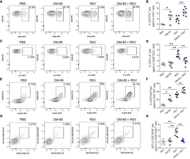 Gata-3 Antibody in Flow Cytometry (Flow)