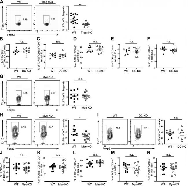 IL-10 Antibody in Flow Cytometry (Flow)