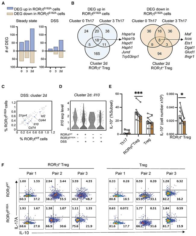 IL-10 Antibody in Flow Cytometry (Flow)