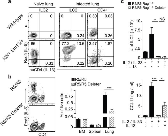 IL-13 Antibody in Flow Cytometry (Flow)