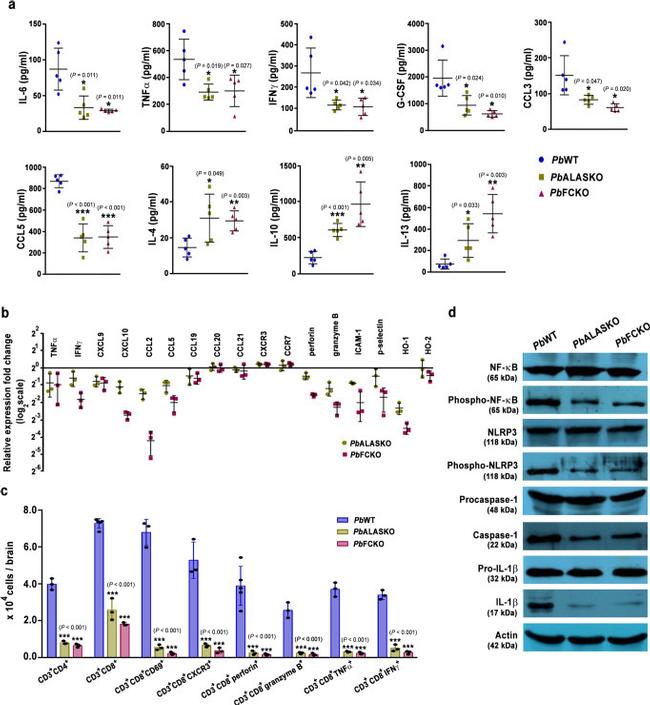 CD4 Antibody in Flow Cytometry (Flow)