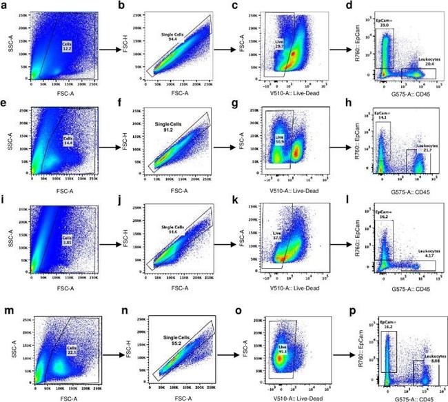 CD45 Antibody in Flow Cytometry (Flow)