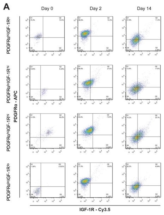 CD140a (PDGFRA) Antibody in Flow Cytometry (Flow)