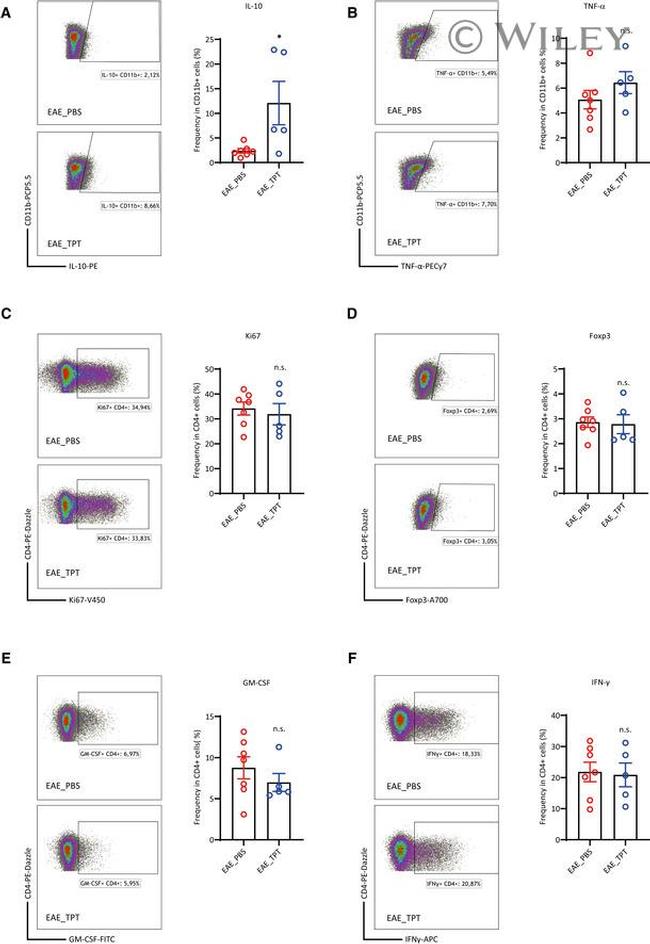 IL-10 Antibody in Flow Cytometry (Flow)