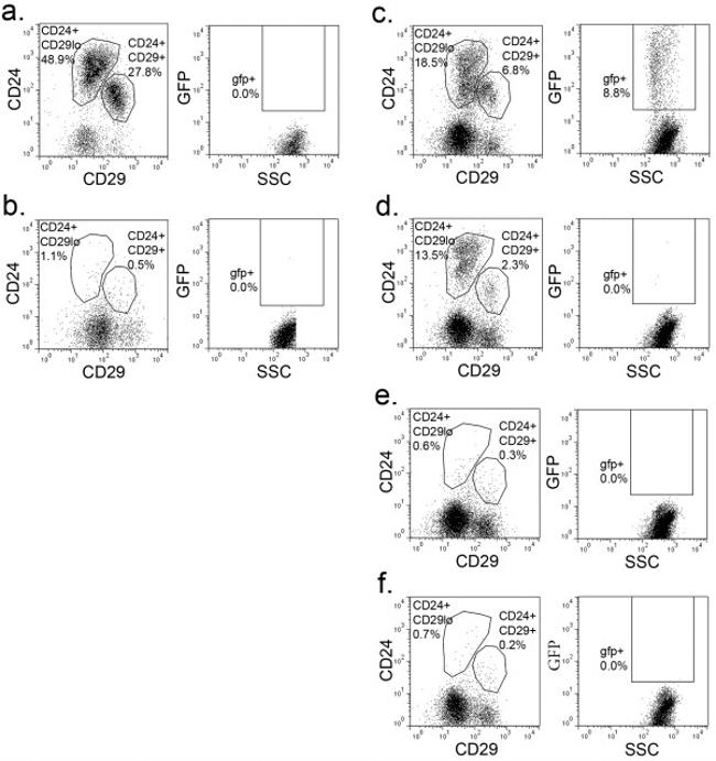 CD24 Antibody in Flow Cytometry (Flow)