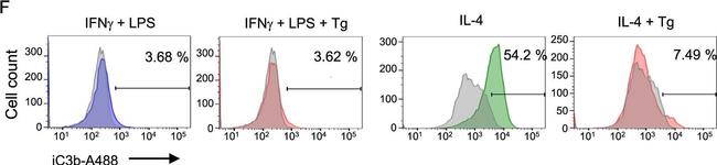 Mouse IgG (H+L) Cross-Adsorbed Secondary Antibody in Flow Cytometry (Flow)