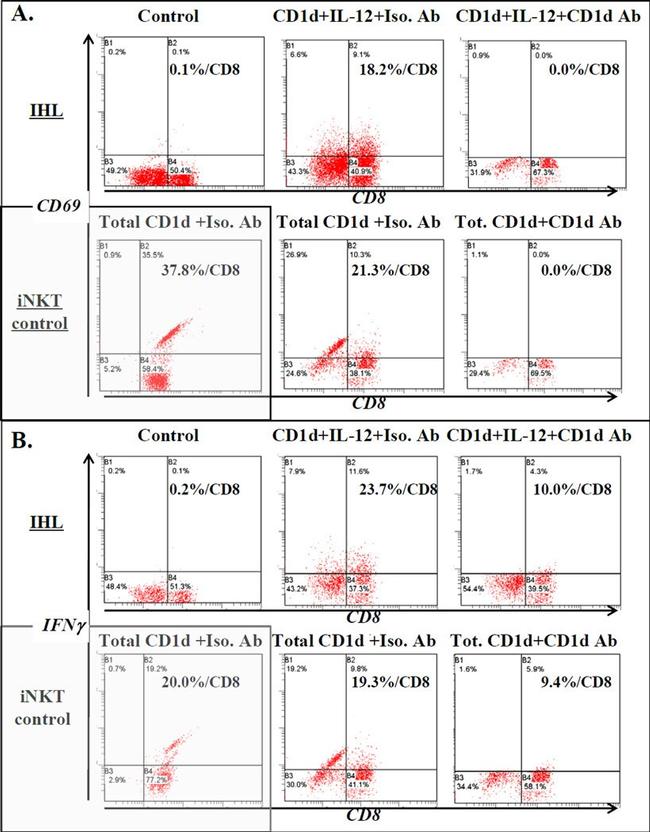 CD1d Antibody in Flow Cytometry (Flow)