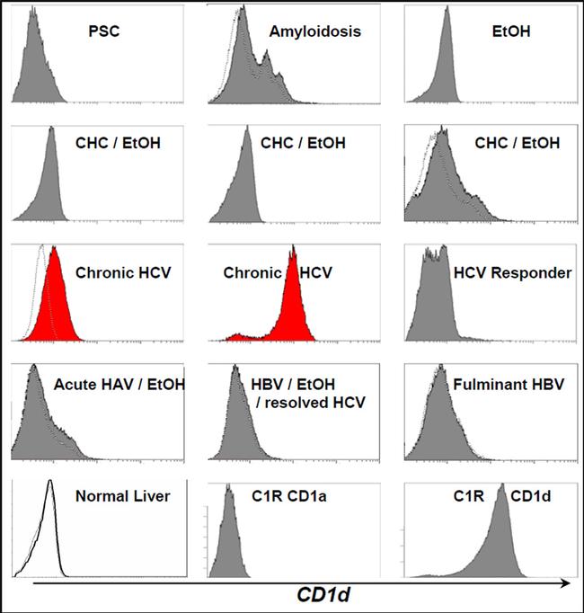 CD1d Antibody in Flow Cytometry (Flow)