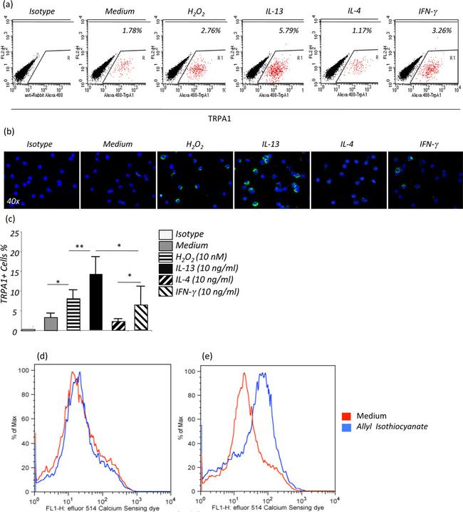 CD117 (c-Kit) Antibody in Flow Cytometry (Flow)